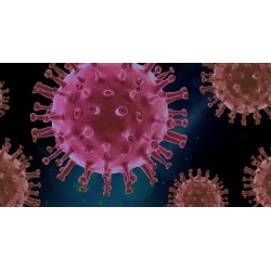 Fiocruz confirma circulação de variantes do coronavírus no Paraná